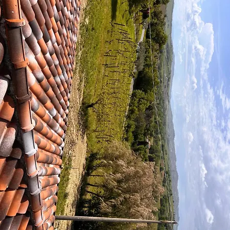 La Sosta Di Guido A * Tavullia